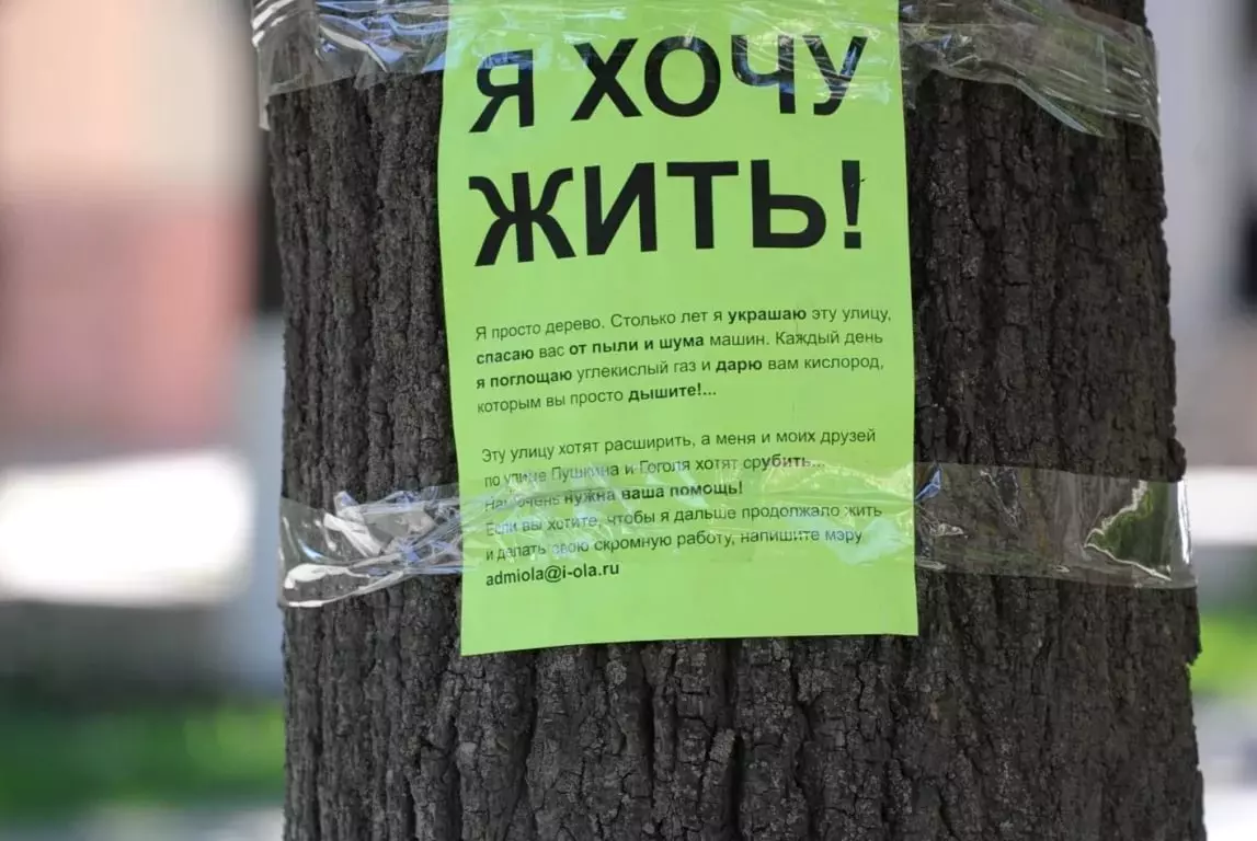 Не посаженные деревья как пишется. Против вырубки деревьев. Объявление на дереве. Против вырубки лесов. Плакат против вырубки деревьев.