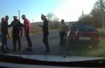 ПЬЯНЫЕ БРАТЬЯ ИЗ ВОРОВСКОЛЕССКОЙ ИЗБИЛИ ПОЛИЦЕЙСКОГО(16+)
