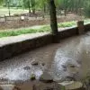 При благоустройстве реки Ольховки в нацпарке создали тупик ливневым водам  