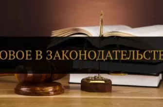 О некоторых сентябрьских законах, которые повлияют на жизнь россиян