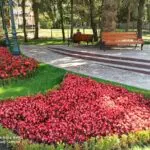 "Сквер страстей кипучих" около памятника Дзержинскому в Кисловодске обрел завершенный вид