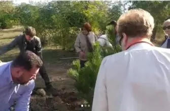 Тридцать сосен высадили общественные экологи и депутаты Кисловодска на мемориале Воинской Славы