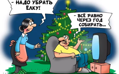 Регоператор «ЖКХ» обещает вывезти елки от населения вместе с крупногабаритом без доплаты