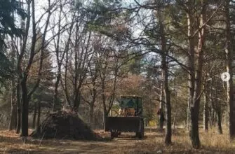 Сквер «Приозерный» в Ессентуках уже летом может войти в число лучших мест отдыха