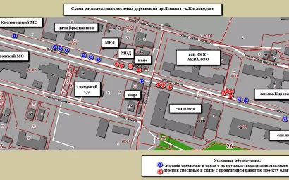 Скольких акаций не досчитается Кисловодск при реконструкции проспекта Ленина?