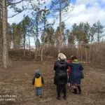 Экологическое преступление в Кисловодске: кто виноват и что делать?