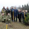 В Кисловодске высадили крымские сосны. Дело "за малым" – сохранить