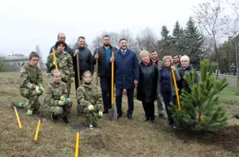 В Кисловодске высадили крымские сосны. Дело "за малым" – сохранить
