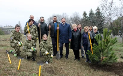 В Кисловодске высадили крымские сосны. Дело «за малым» – сохранить