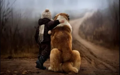 Журналистов и блогеров приглашают к участию в Премии «Мой ласковый и нужный зверь-2021»