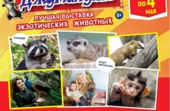 В Доме культуры курорта в Кисловодске проходит выставка экзотических животных 