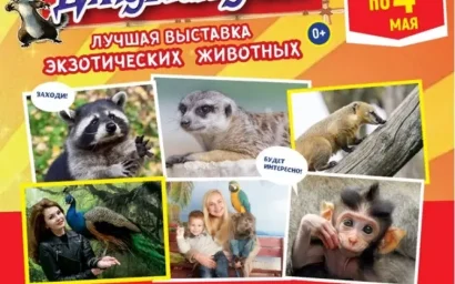 В Доме культуры курорта в Кисловодске проходит выставка экзотических животных 