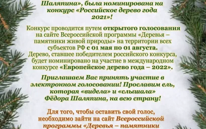 Друзья, ставропольцы, выбираем Российское дерево года — Шаляпинскую ель!