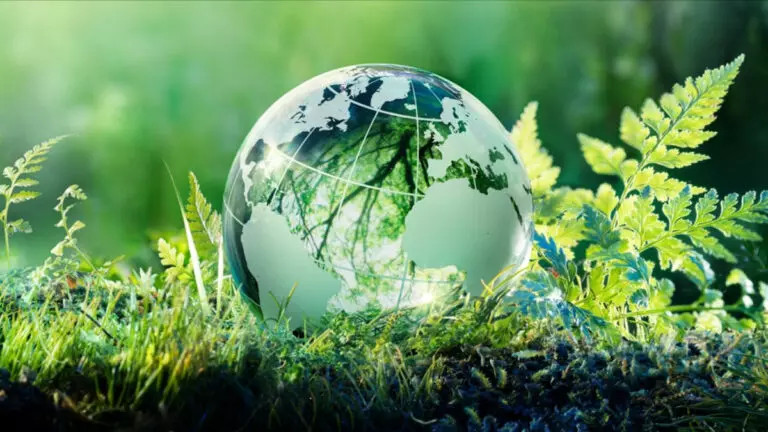 Внимание: 5 июня - Всемирный день окружающей среды, присоединяйтесь к акциям!