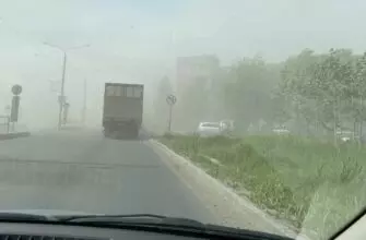 Причиной пыльной бури на Ставрополье стала массовая вырубка деревьев?