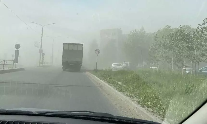 Причиной пыльной бури на Ставрополье стала массовая вырубка деревьев?
