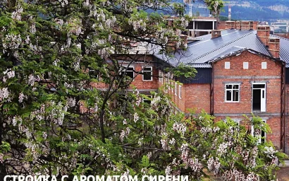 Кисловодск молодой