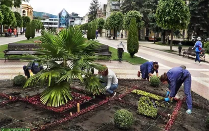 Живое украшение Кисловодска