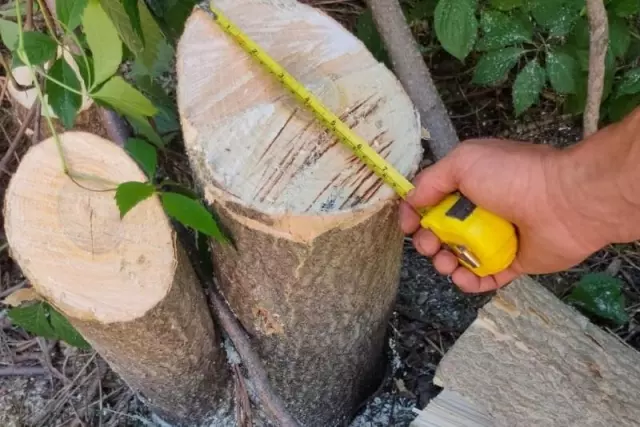 В Пятигорске  незаконно спилены 86  деревьев . Виновники устанавливаются