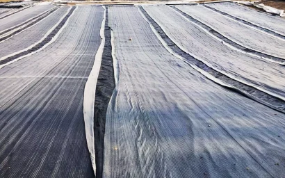 Последние дни уходящего лета