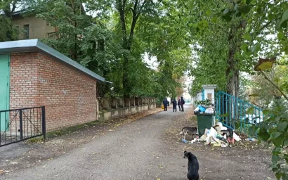 Помойки на курортной улице: так кто же решит проблему?