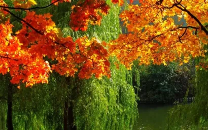 Геннадий Гузенко. Разноцветный дождь…