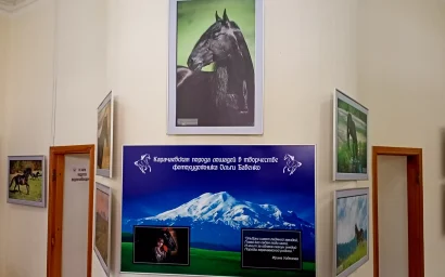 В Кисловодском музее «Крепость» — кавказские лошади Ольги Бабенко