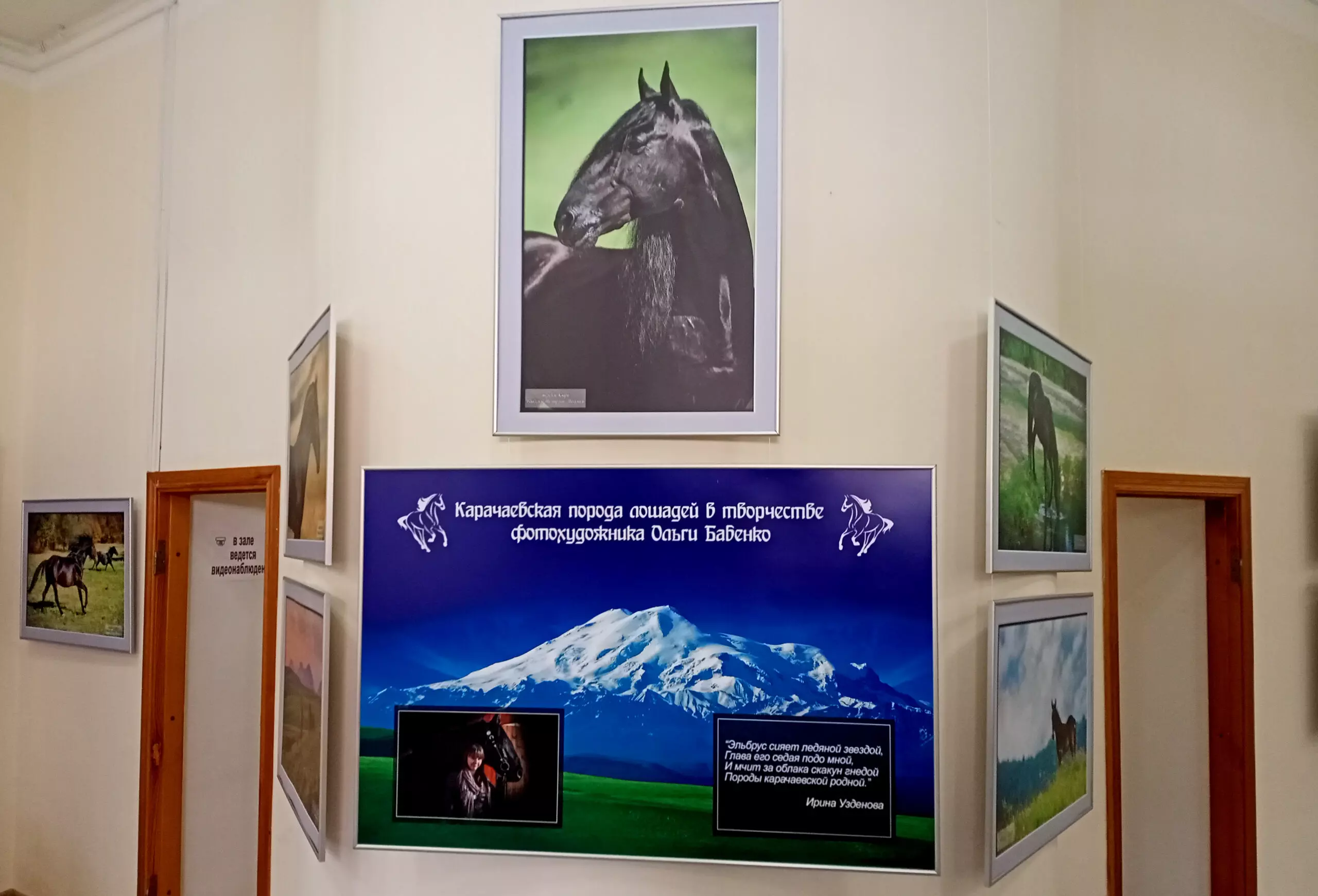 В Кисловодском музее «Крепость» - кавказские лошади Ольги Бабенко
