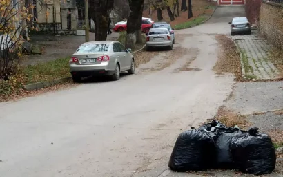 Не знаете, как быть с листвой? Позвоните на горячую линию регоператора