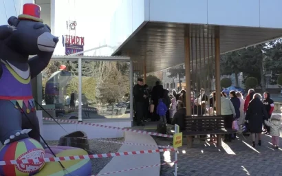 Доктор цирк