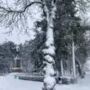 Виктория Триско. Январский снег