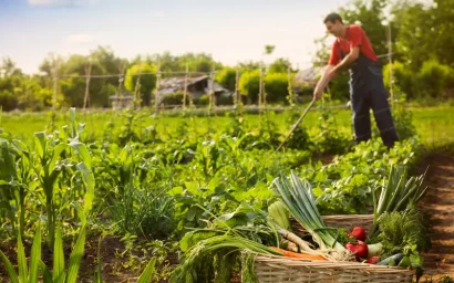Самозанятые владельцы личных подсобных хозяйств могут получить субсидии. Подробности