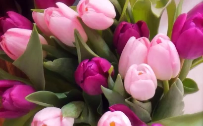 С 8 марта, дорогие женщины!