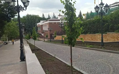 Валентина Ивановна, приезжайте почаще! Проспект Ленина озеленили в авральном порядке