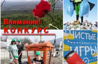 Региональный оператор «ЖКХ» объявил о запуске фотоконкурса на тему экологии
