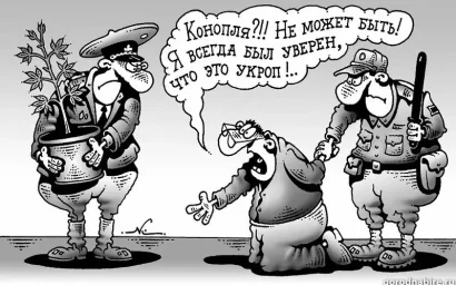 Не забывайте: за такой урожай – уголовная ответственность!