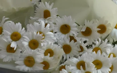 Ко Дню семьи, любви и верности в кисловодском цирке разыграли билеты на представление