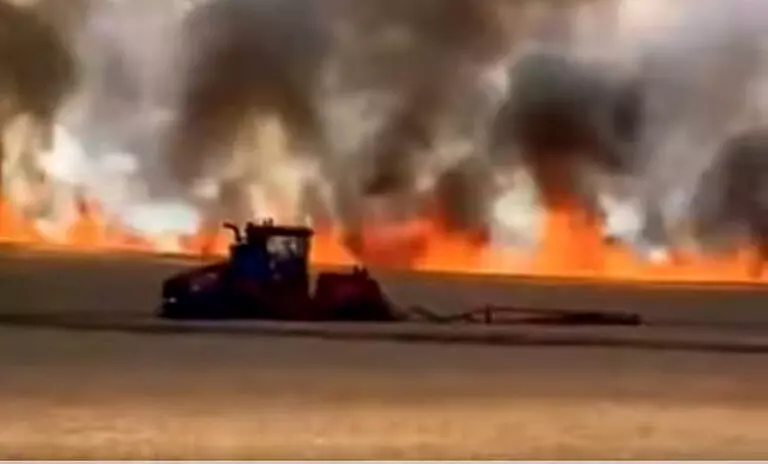 В Новоселицком округе сгорело 50 га пшеницы