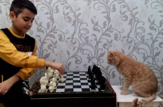 Я не смог пройти мимо