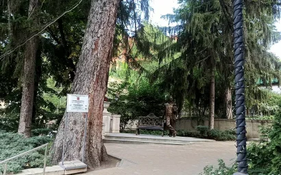 Шаляпинская ель Кисловодска – победитель конкурса «Российское дерево года-2022»!