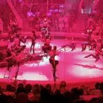 В кисловодском цирке при полном аншлаге прошла премьера шоу Гии Эрадзе «Песчаная Сказка».