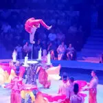 В кисловодском цирке при полном аншлаге прошла премьера шоу Гии Эрадзе «Песчаная Сказка».