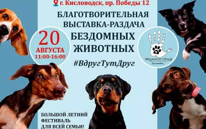 В Кисловодске в рамках семейного праздника пройдет выставка-раздача питомцев из временного приюта!