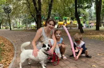 В Кисловодске 27 бездомных животных нашли хозяев на фестивале "Вдруг тут друг"