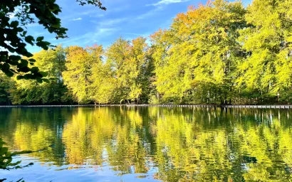 Снова осень… Рассказ.