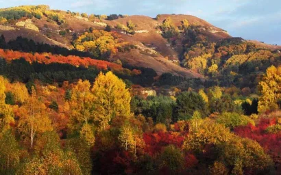 Бабье лето заканчивается