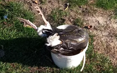 Биологические отходы нельзя выбрасывать в мусор: они опасны!