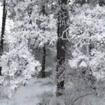 Красавица-зима окутала Кавминводы