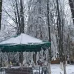 Кисловодск - Ессентуки: путешествие из осени в зиму