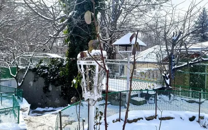 Татьяна Булгакова. Февраль